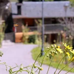  Apartamento Turístics Vilaró